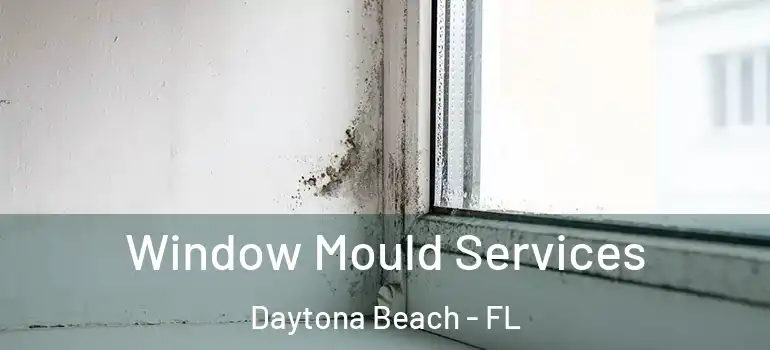  Window Mould Services Daytona Beach - FL